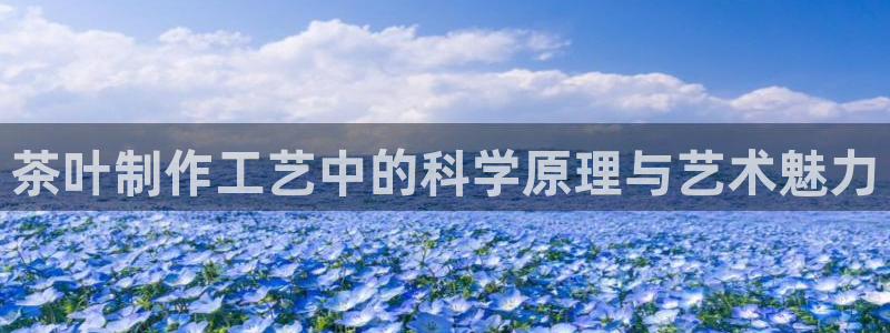 华润娱乐总管是谁呀老板