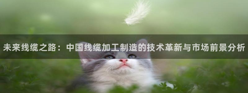 华润娱乐项目