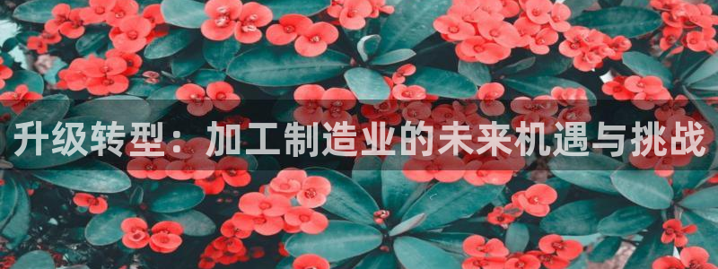 华润娱乐地7O667