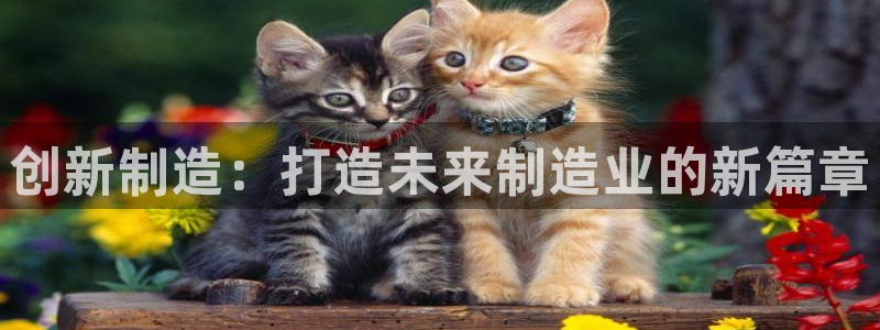 华润娱乐科技有限公司