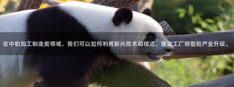 华润娱乐qv87555