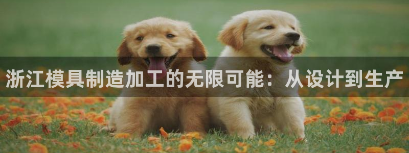 华润2娱乐975949
