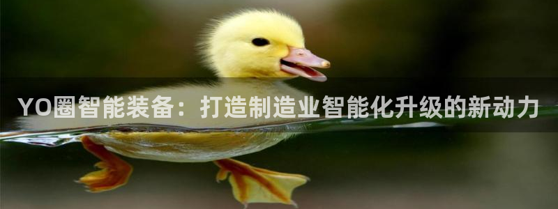 华润2娱乐主管