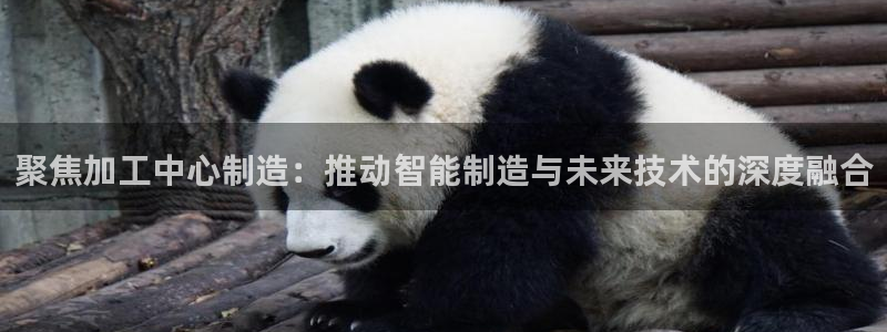 华润娱乐代理