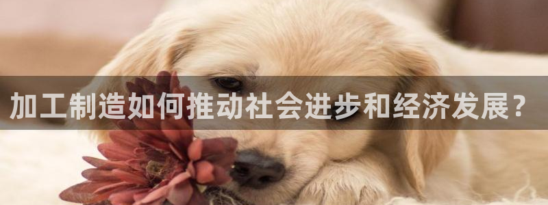 华润娱乐行政实习简历