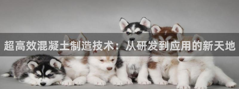 华润娱乐显92222