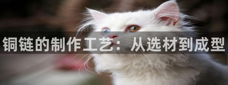 华润娱乐目前经营现状