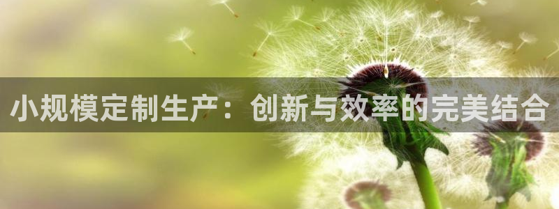 华润娱乐科技有限公司