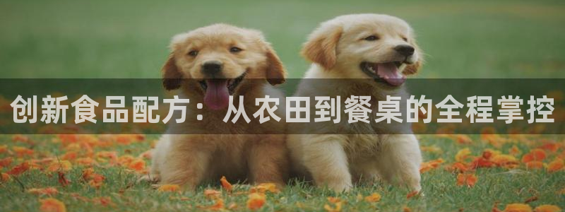 华润集团娱乐的网址