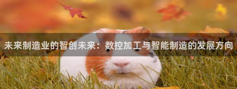 华润娱乐去深圳工作