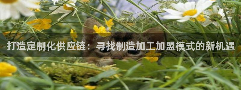 华润娱乐时时彩