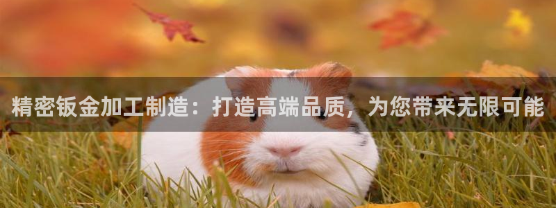 华润娱乐蜒95692