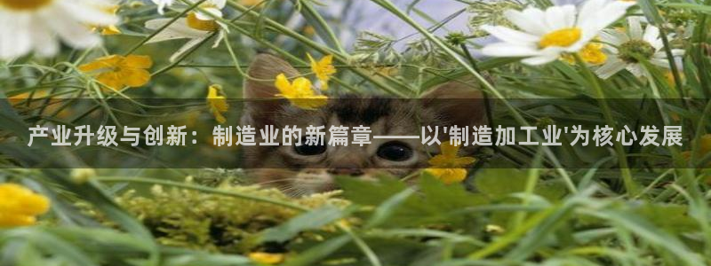 华润娱乐托 92222