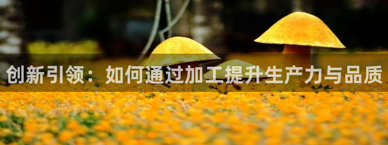 华润娱乐己 92222