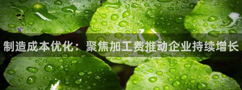华润娱乐主管