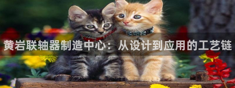 华润娱乐登录平台