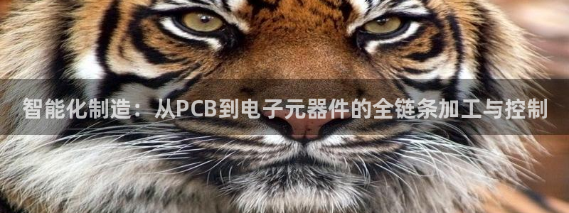 华润娱乐23bd1指尖