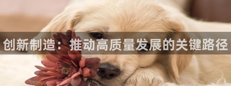 华润娱乐虏122222