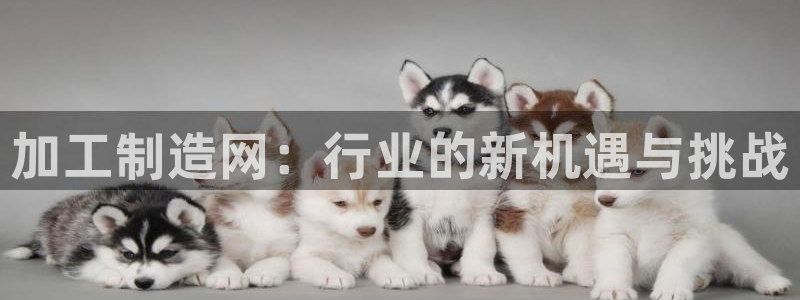 华润国际娱乐官网