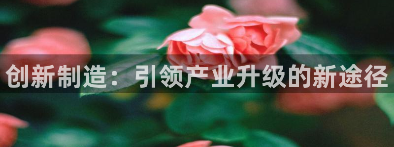 华润2娱乐平台主管