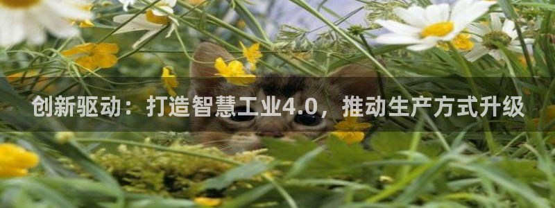 华润娱乐屡92222q