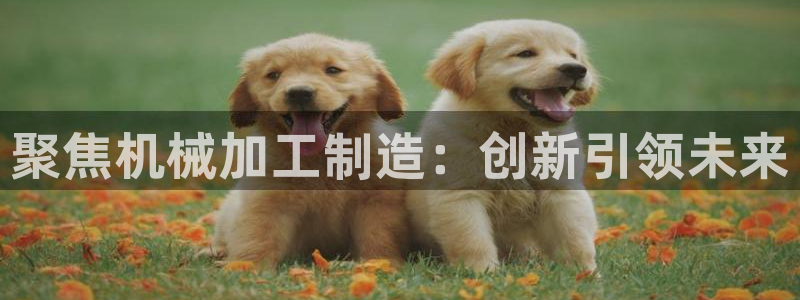 华润娱乐有5指尖