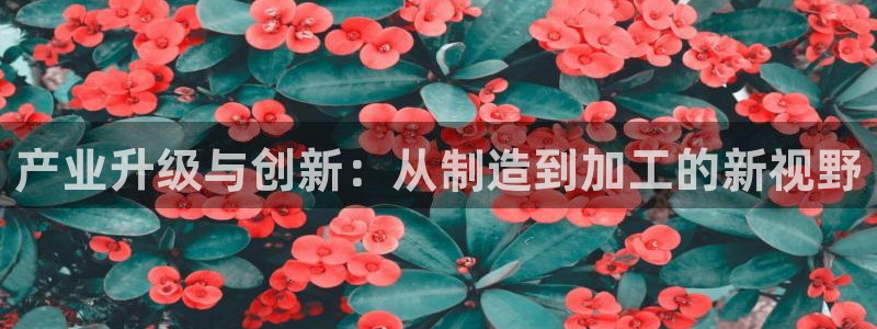 华润娱乐平台招商