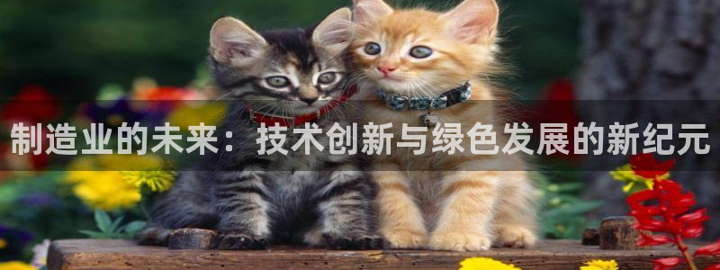 华润娱乐右7O667