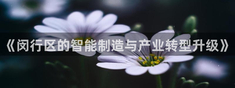 华润二十四城娱乐