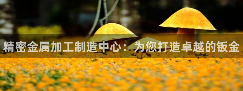 华润娱乐指尖得